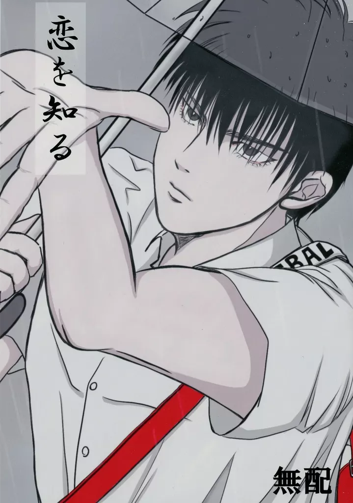 恋を知る – スラムダンク – 流川楓 桜木花道