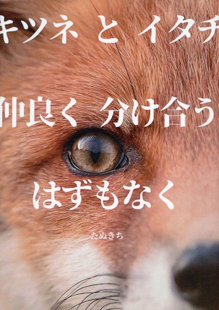 ハイキュー!! キツネとイタチ 仲良く分け合うはずもなく / たぬきち (宮侑、宮治) / ぽんぽこ商店