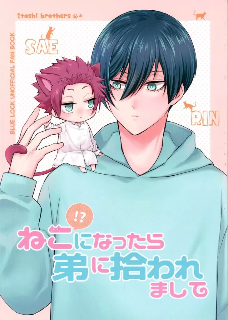 ブルーロック ねこ！？になったら弟に拾われまして / 香伊＊ （糸師冴、糸師凛） / s．nekko