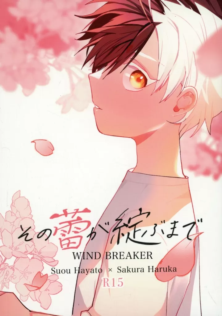 その蕾が綻ぶまで – WIND BREAKER – 蘇枋隼飛 桜遥
