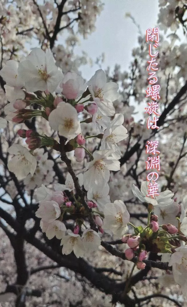 ゲゲゲの鬼太郎 閉じたる螺旋は 深淵の華 / 杉原有未（綾乃） （ゲゲ郎、水木） / 野蛮な苺 ワイルドストロベリー