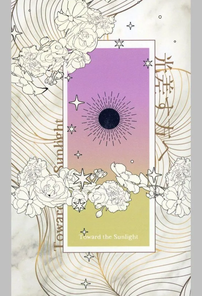 光差す方へ Toward the Sunlight / taila / 新洞（ニューホラ）