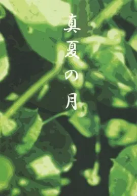 真夏の月_image