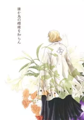 誰か烏の雌雄を知らん 3 – BLEACH