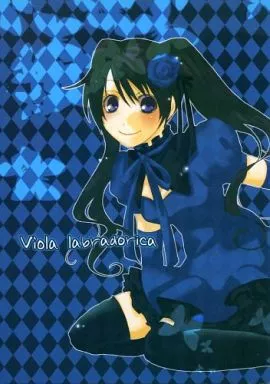 Viola labradorica_image