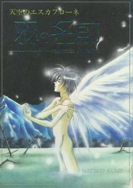 羽の名前 – エスカフローネ