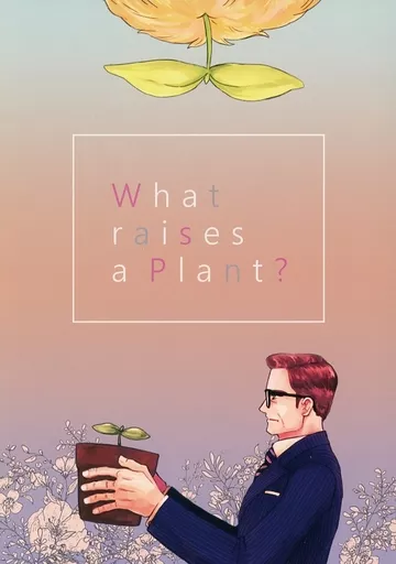 What raises a Plant？_image