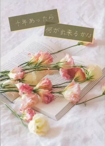 十年あったら何が出来るかな – ドラマ – イブキ シマ