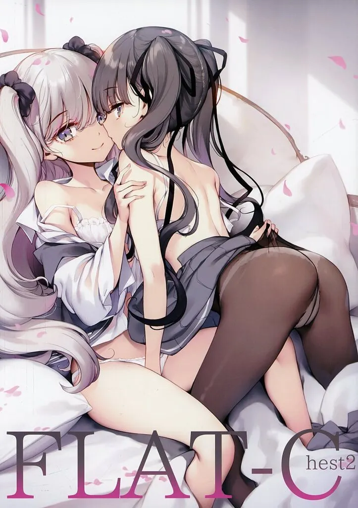【冊子単品】FLAT－Chest 2 / ke－ta / 劇毒少女