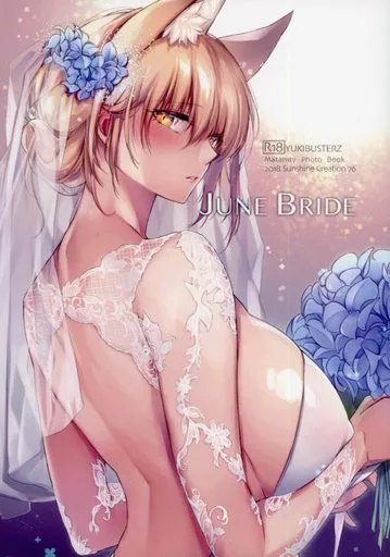 オリジナル JUNE BRIDE マタニティフォトブック / ユキバスターZ / コドモビール