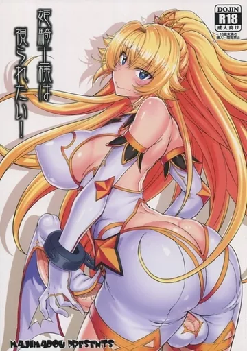 姫騎士様は視られたい!_image