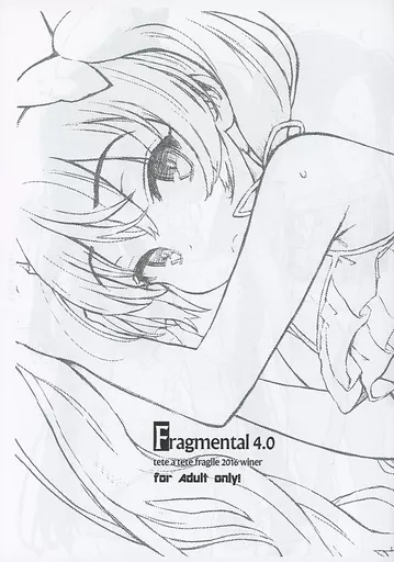 【コピー誌】Fragmental 4．0 ZHOU83198image