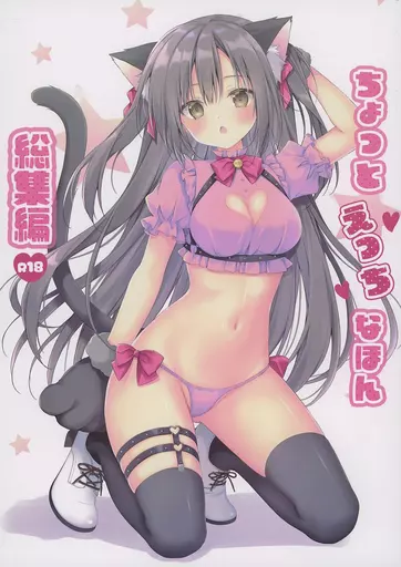 オリジナル 【冊子単品】ちょっとえっちなほん 総集編 / 梱枝りこ / 無人少女
