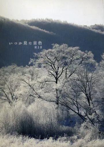 刀剣乱舞 いつか見た景色 / ミズキアキト （燭台切光忠×大倶利伽羅） / 鉱質インク
