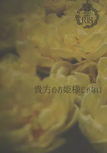 その他ゲーム 貴方のお姫様じゃない / pumo （レオナ） / 11p．m．→5a．m．≠25％