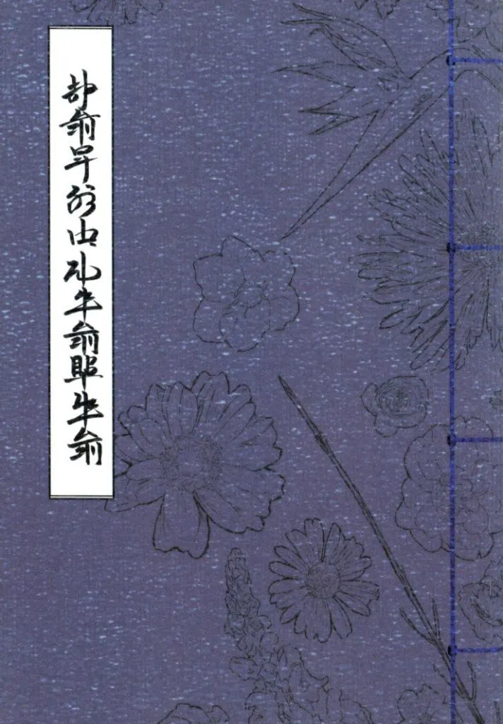 夢幻泡影 ZHOYA142085image