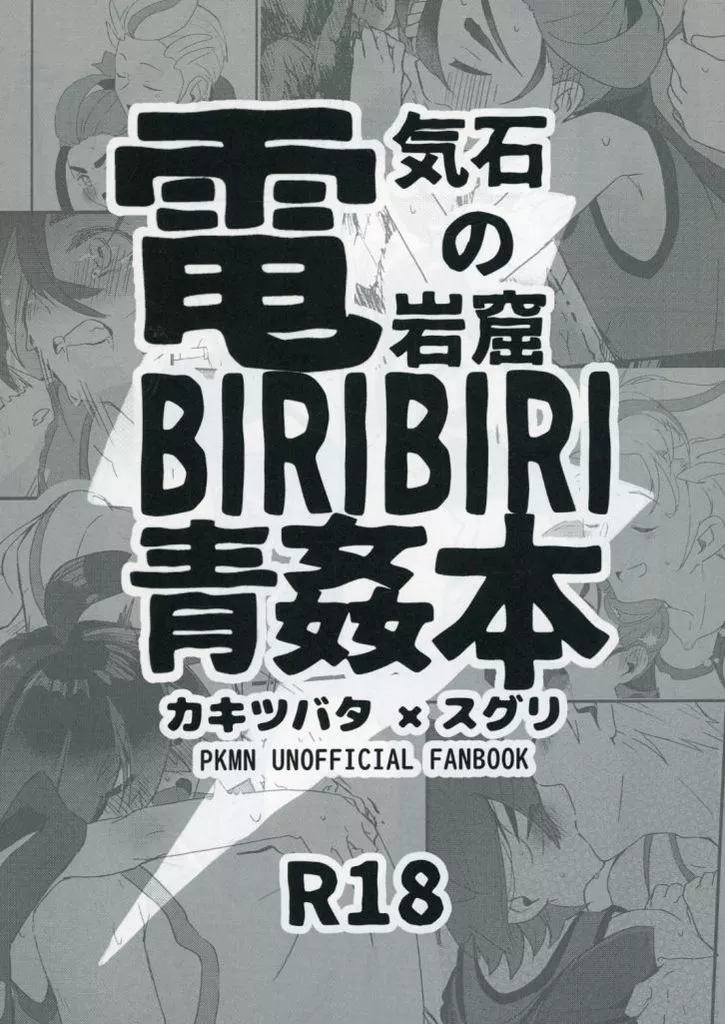 ポケットモンスター 【コピー誌】電気石の岩窟BIRIBIRI青姦本 / かじうら （カキツバタ×スグリ） / ぶた小屋