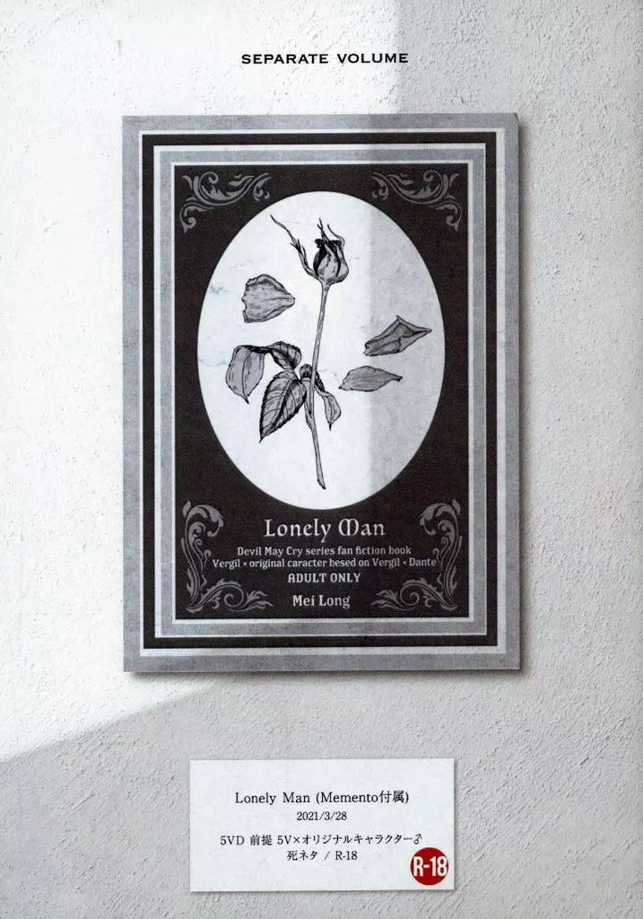 デビルメイクライ Lonely Man / Mei Long （バージル×ダンテ） / Habitable Zone