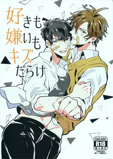 刀剣乱舞 好きも嫌いもキズだらけ / 一色藤 （御手杵×同田貫正国） / ニタロウ亭