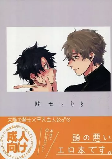 Fate 騎士とDK / prima* （ガウェイン×ぐだ男） / くるりくるり