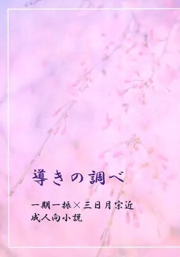 導きの調べ ZHOYA88014image