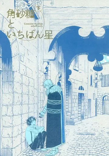 Fate 角砂糖といちばん星 下 / きるい （ガウェイン×ぐだ男） / CHU202