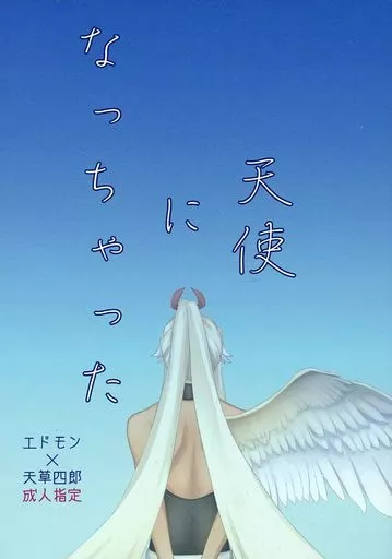 Fate 天使になっちゃった / 肉屋もぶ子 (エドモン×天草四郎) / 極悪マンゴスチン
