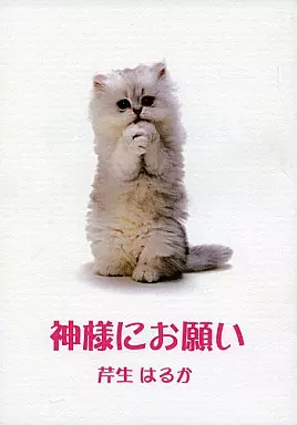 商業作品番外編 神様にお願い / 芹生はるか / 靫企画