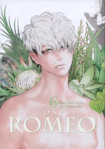 商業作品番外編 D.S.P ROMEO 6 / わたなべあじあ / 亜熱帯あじあ奇行