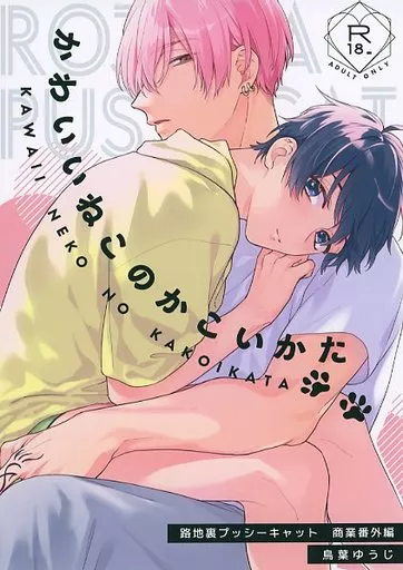 かわいいねこのかこいかた – 商業作品番外編