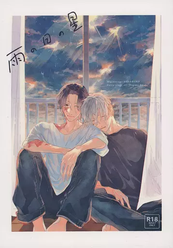 雨の日の星 ZHOYU25519image