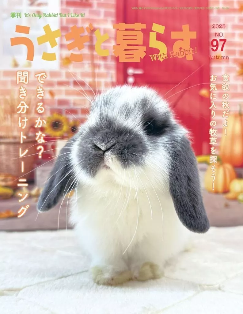 うさぎと暮らす 2025年10月号