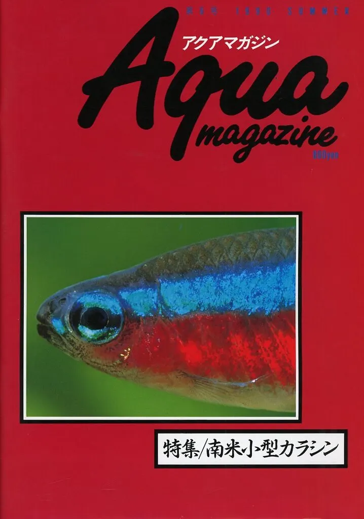 駿河屋 -<中古>Aqua magazine 第6号 1990年 SUMMER アクアマガジン
