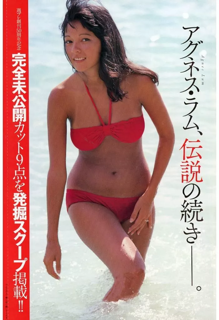 最後の値下げです！降臨の女神アグネス・ラムタペストリー値下げで着払いでお願いです 希少！アグネス・ラムポスター ハワイの女神 降臨超絶美女 1976年大