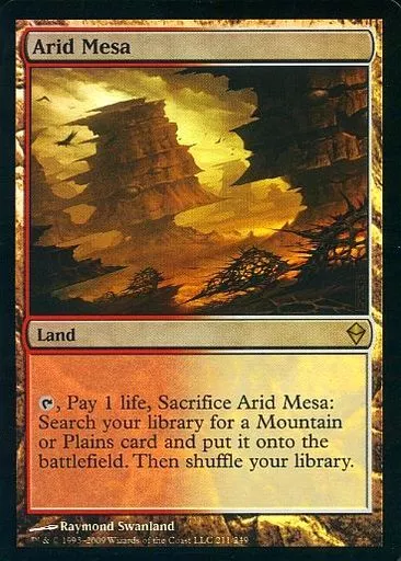 駿河屋 -<中古>211/249[R]：【ZEN】【FOIL】Arid Mesa/乾燥台地