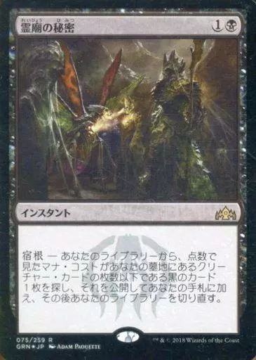 霊廟の秘密 日本語 foil A 駿河屋 - 【買取】[R]：【FOIL】霊廟の秘密/Mausoleum Secrets