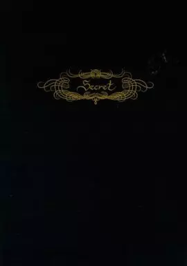 【パンフレット(洋画)】 付録付)パンフ)Secret 言えない秘密