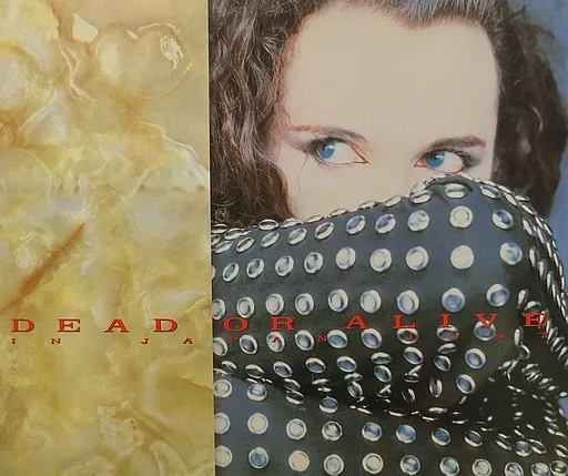 駿河屋 -<中古><<パンフレット(ライブ)>> パンフ)DEAD OR ALIVE