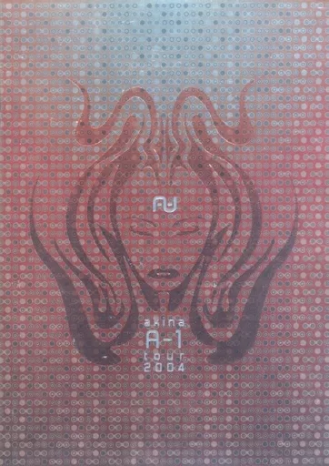 【パンフレット(ライブ)】 パンフ)akina nakamori A-1 tour 2004