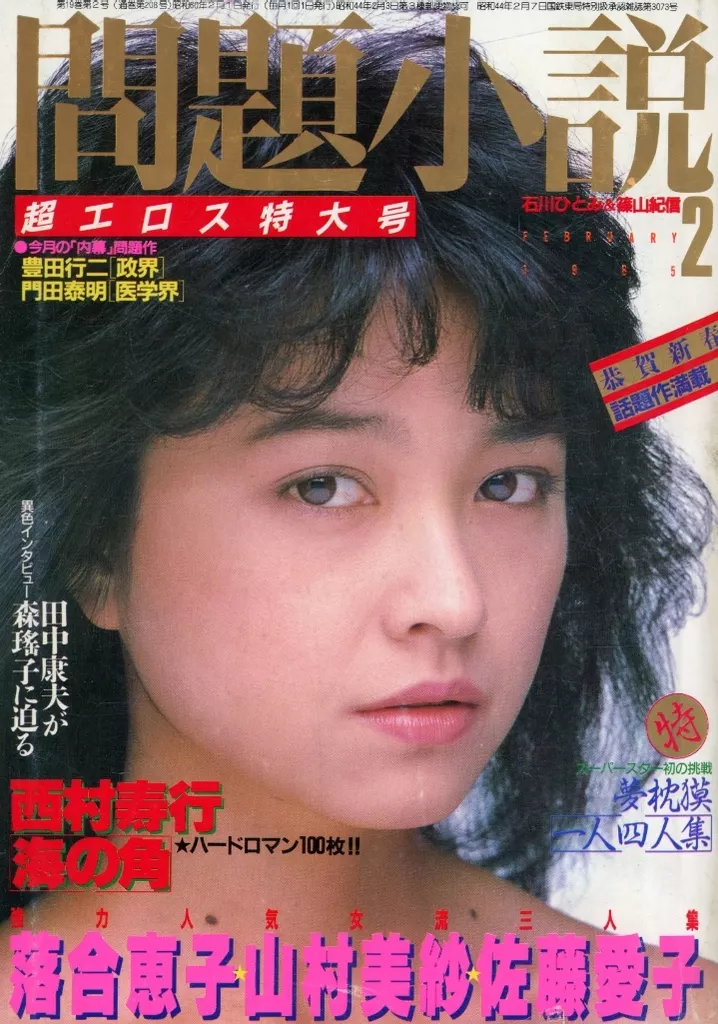 駿河屋 -【アダルト】<中古>問題小説 1985年2月号（その他）