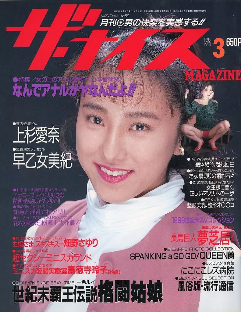 ザ・ナイス MAGAZINE 1993年3月号