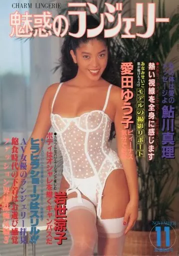 魅惑のランジェリー 1989年11月号