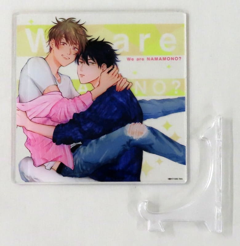 新條響 立花累壓剋力立板 我們都是一樣的東西 雜貨 小配件 Suruga Ya Com 新條響 立花累壓剋力立板 我們都是一樣的東西 雜貨 小配件 Suruga Ya Com