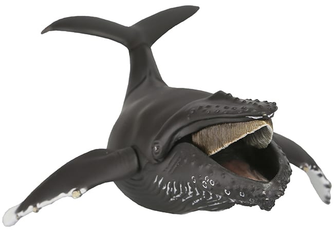 whale toy box