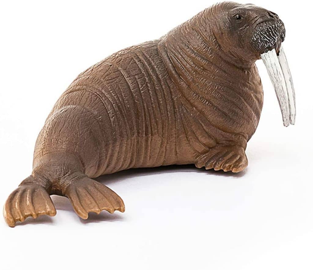 walrus-schleich-schleich-no-14803-toy-hobby-suruga-ya