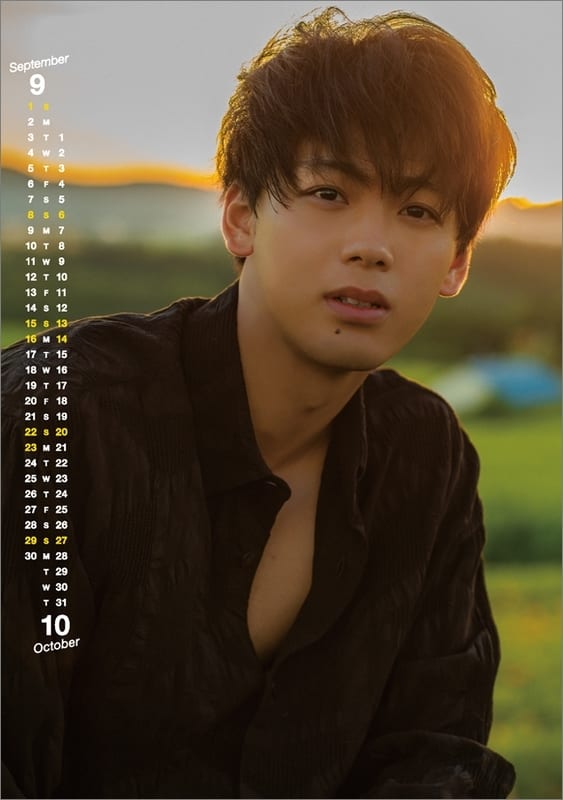 Calendar Ryoma Takeuchi 2019 Desktop Calendar Goods Accessories