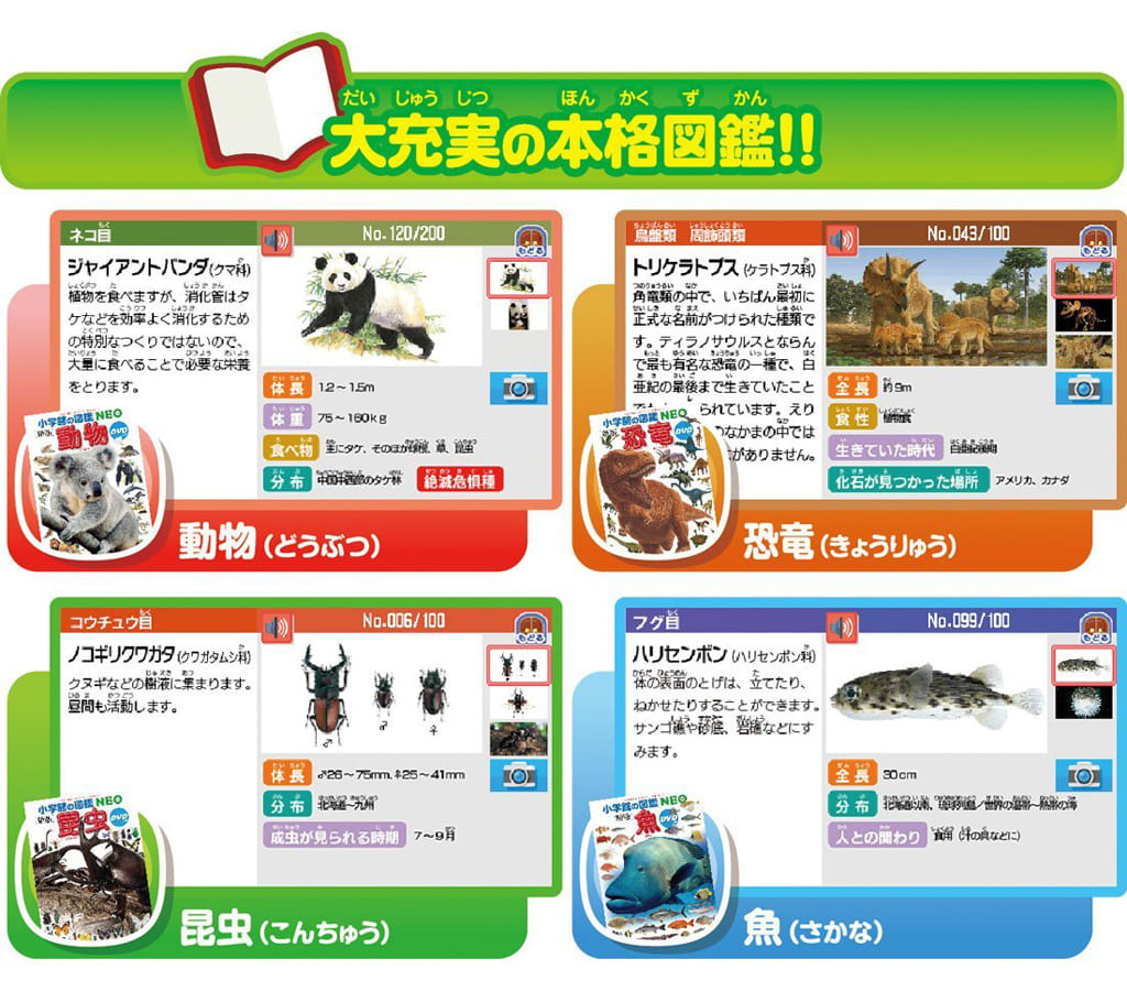 Shogakukan no Zukan NEOPad  Toy Hobby  Suruga-ya.com