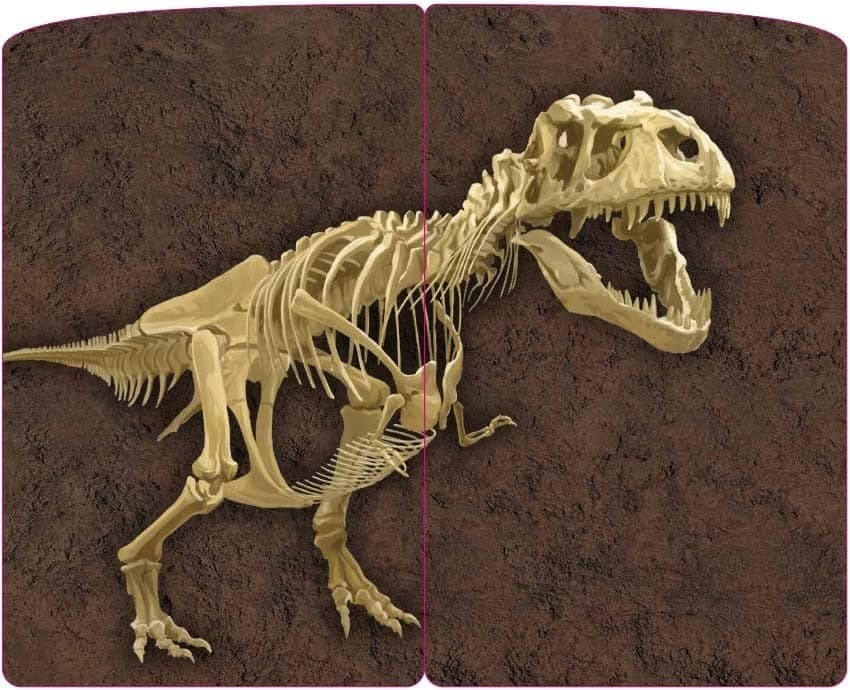 Fossil Excavation card game Toy Hobby