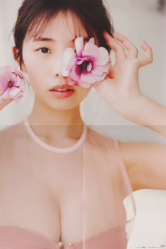 poster-a2-size-double-sided-poster-yoshihisa-tanaka-himena-kikuchi