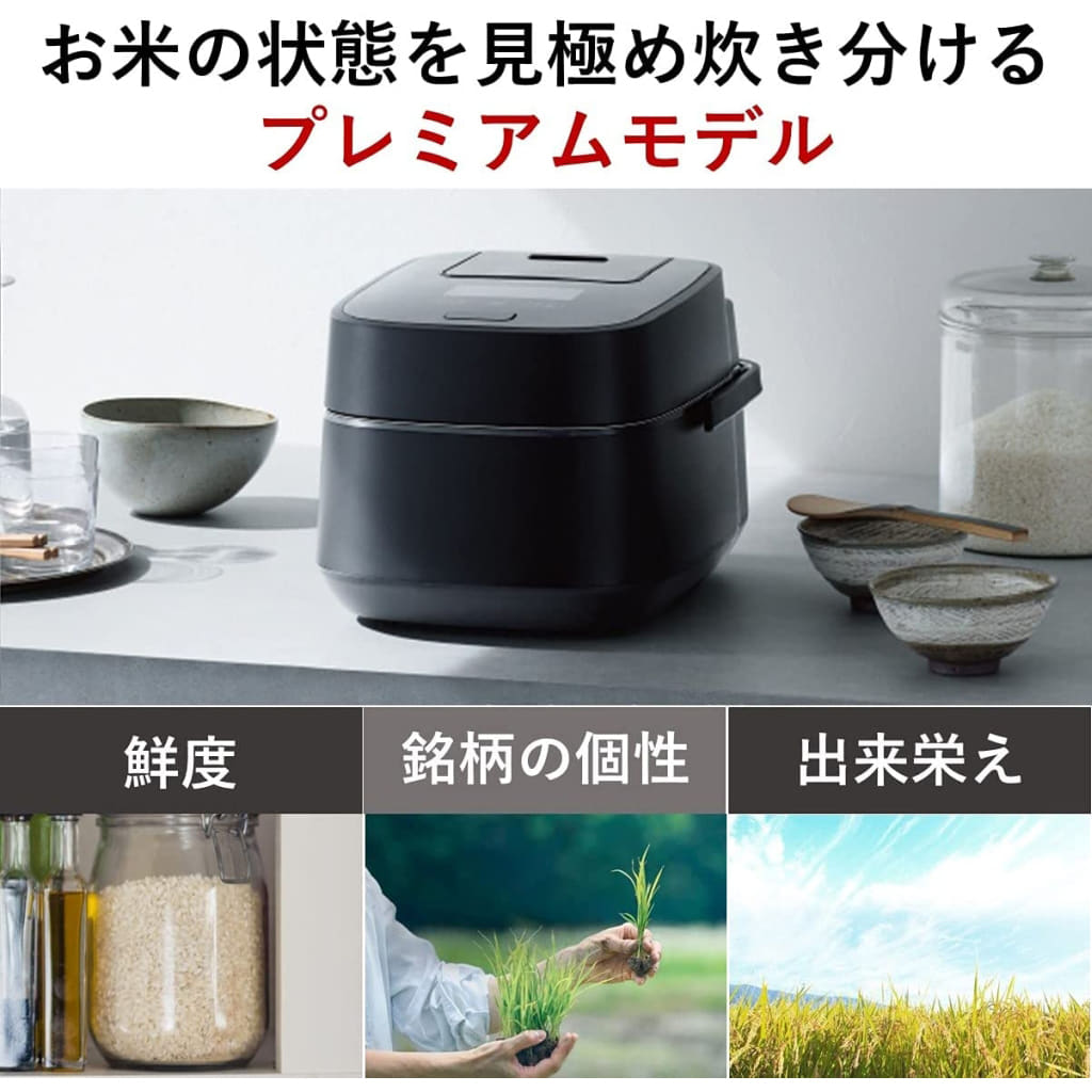 Panasonic Steam & Variable Pressure IH Rice Cooker SRVSX101 (Black